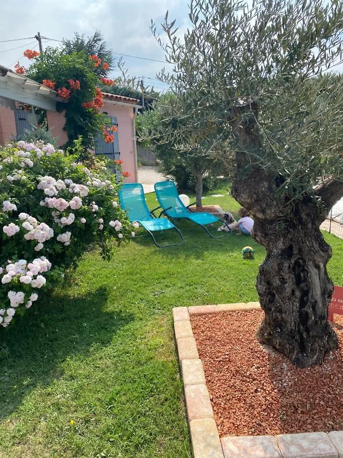 Bed & Breakfast Chambre D'Hotes Vaucluse Bollene